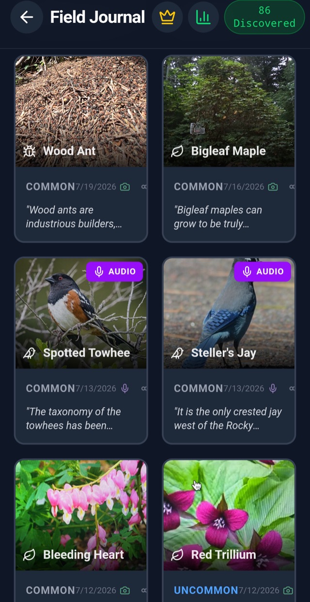 Wildertag field journal showing tagged species: wood ant, bigleaf maple, spotted towhee, Steller's jay